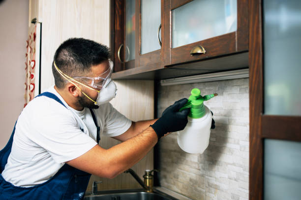 Best Residential Pest Control  in London, OH