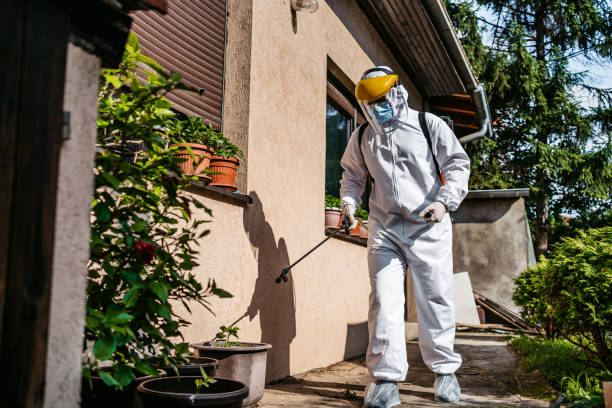 Best Local Pest Control Services  in London, OH