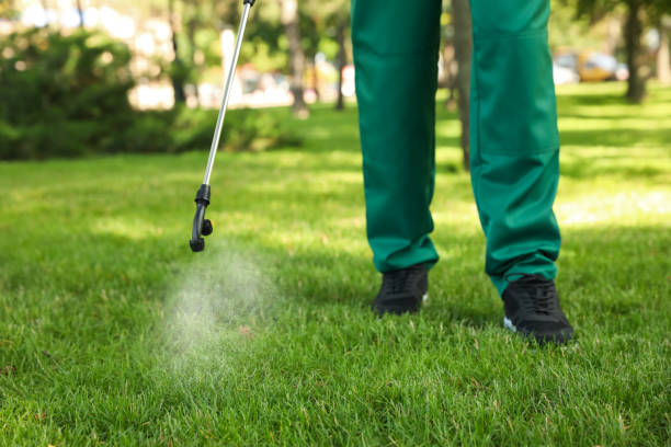 Best Exterminator Services  in London, OH