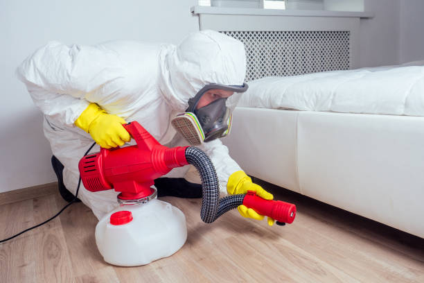 Wasp Removal Services in London, OH