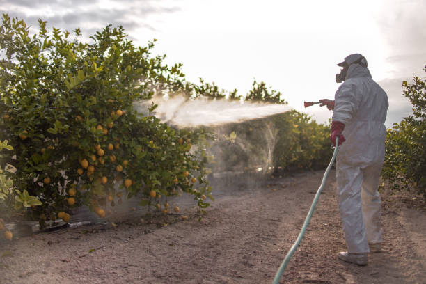 Best Mosquito Control Services  in London, OH
