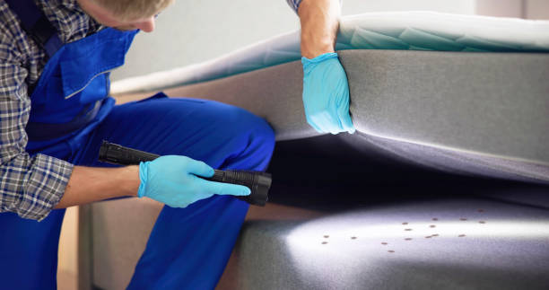 Best Pest Control Near Me  in London, OH