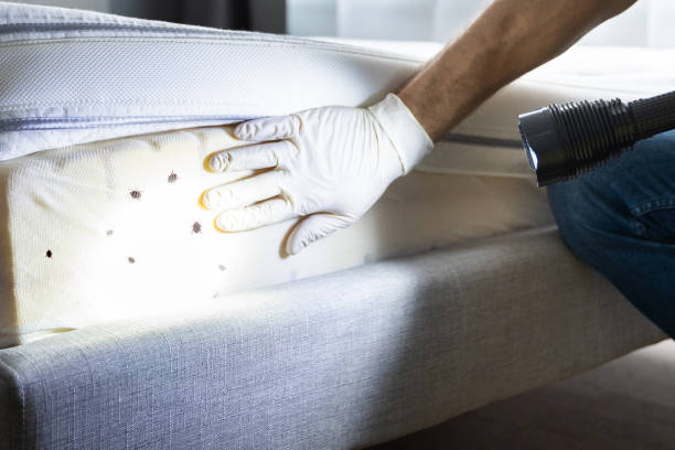 Best Local Pest Control Services  in London, OH