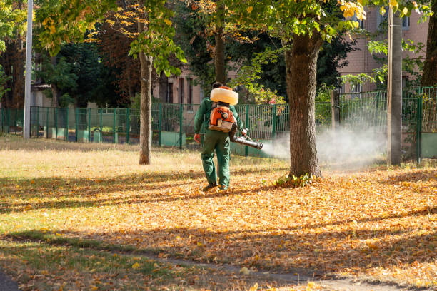 Professional Pest Control in London, OH